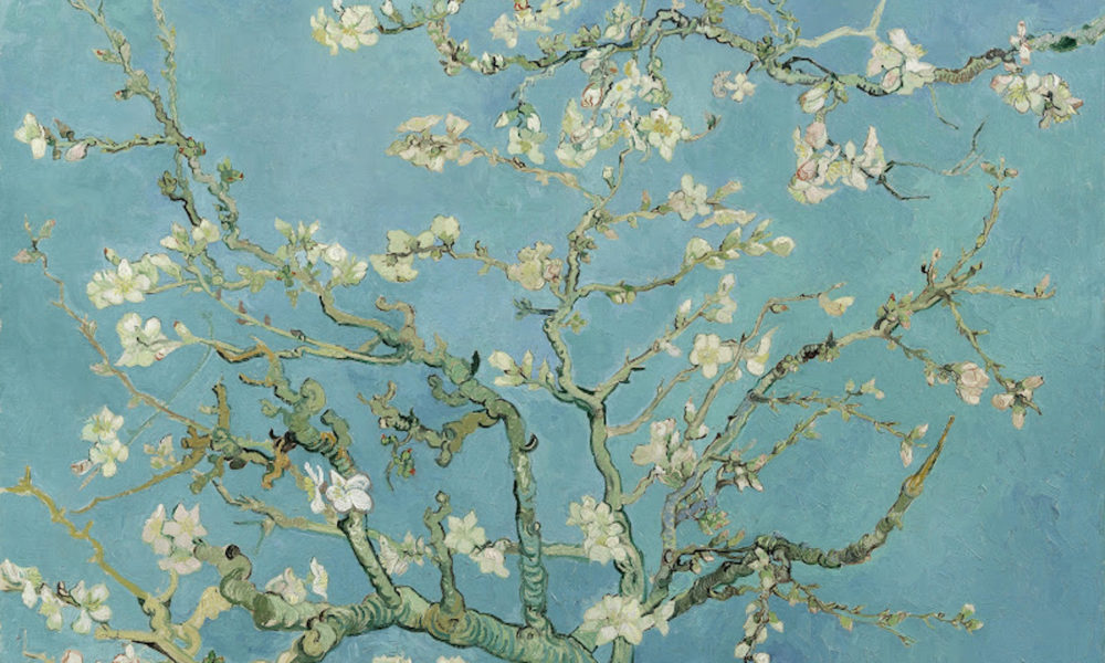 A painting of white blossoms on tree branches. The background is blue.
