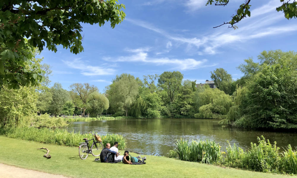 Auf einer Wiese im Vondelpark an einem schönen sonnigen Tag liegen zwei Männer und machen ein Päuschen
